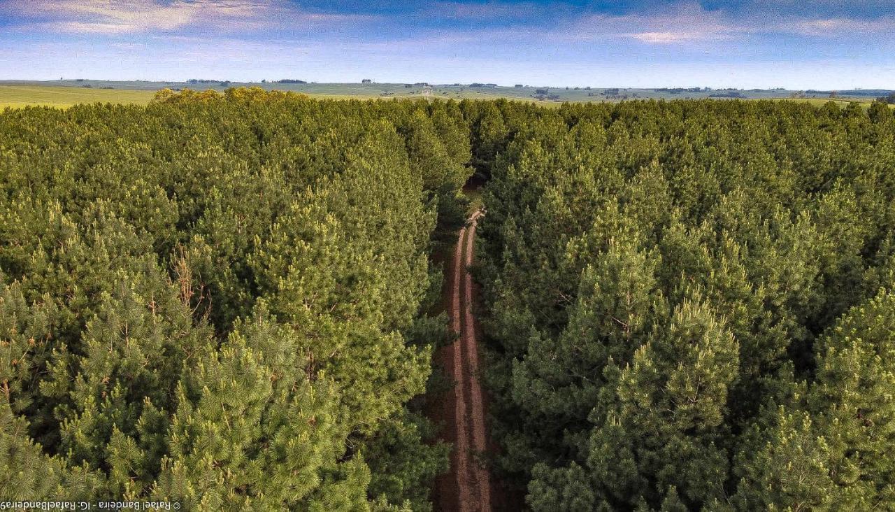 Pinos De La Quebrada Villa Quebrada de los Cuervos ภายนอก รูปภาพ
