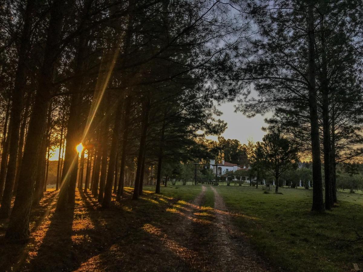 Pinos De La Quebrada Villa Quebrada de los Cuervos ภายนอก รูปภาพ
