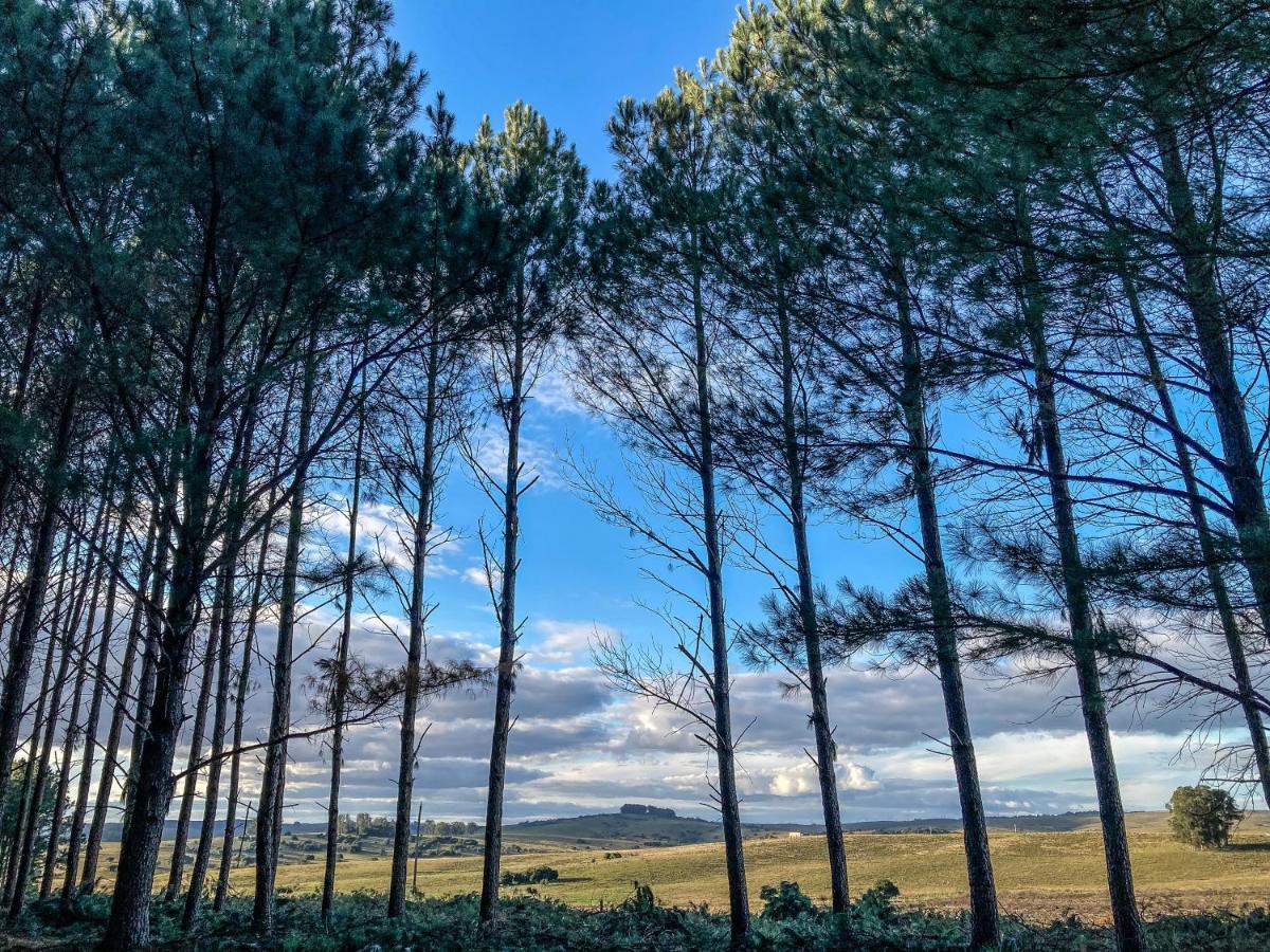 Pinos De La Quebrada Villa Quebrada de los Cuervos ภายนอก รูปภาพ