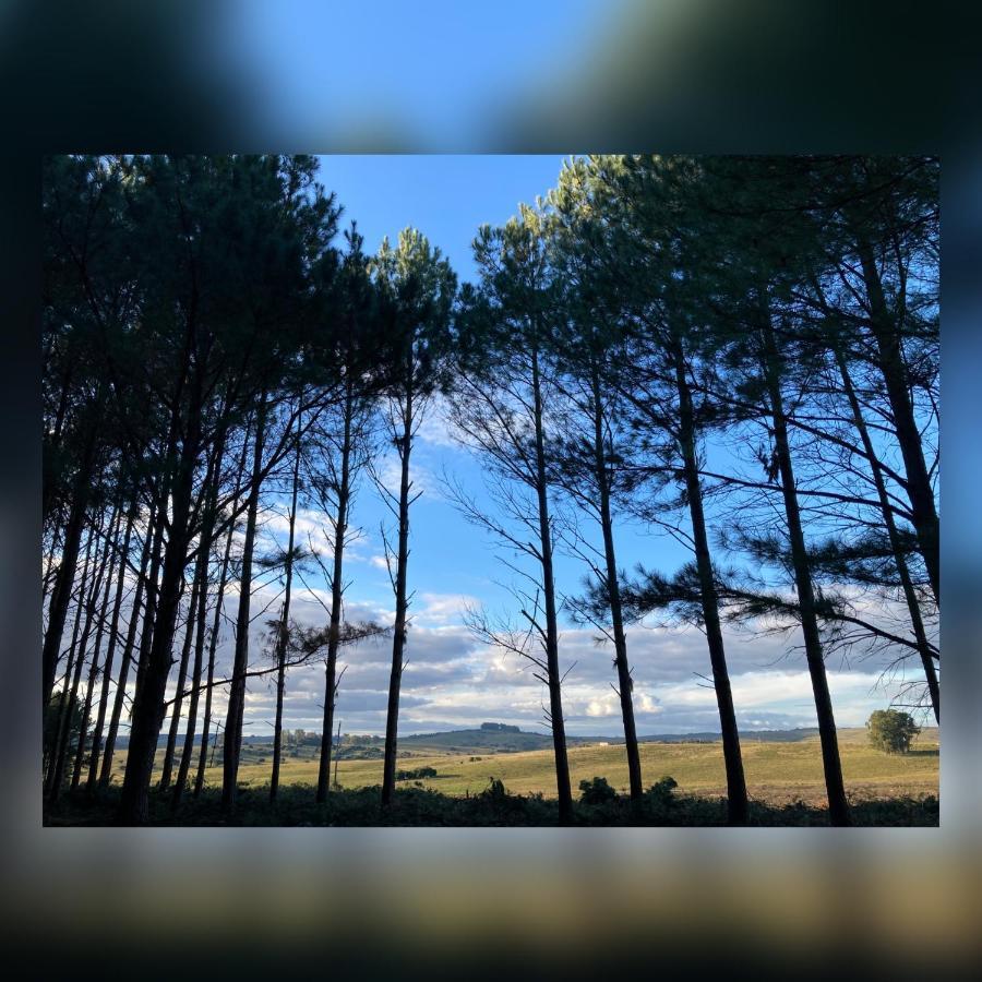 Pinos De La Quebrada Villa Quebrada de los Cuervos ภายนอก รูปภาพ