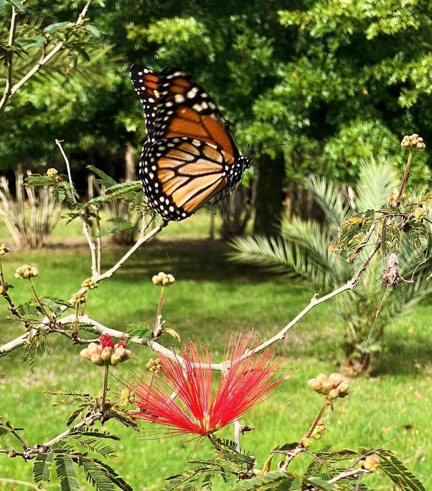 Pinos De La Quebrada Villa Quebrada de los Cuervos ภายนอก รูปภาพ
