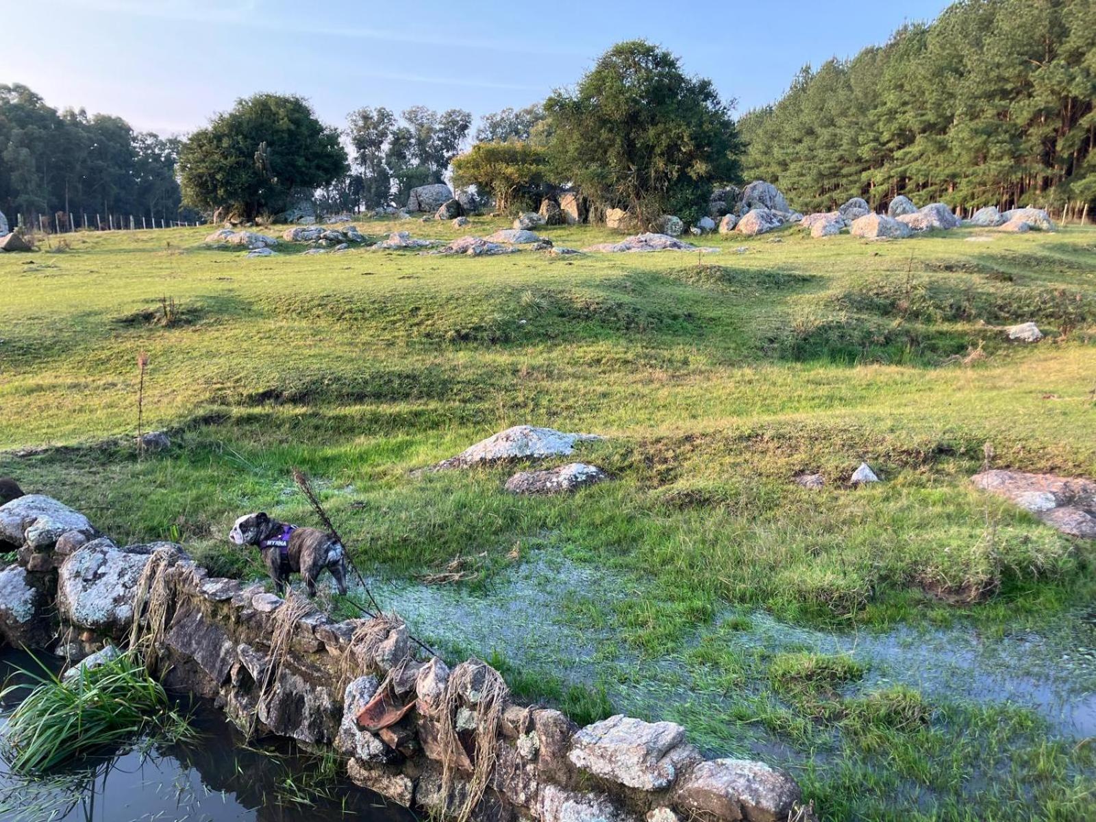 Pinos De La Quebrada Villa Quebrada de los Cuervos ภายนอก รูปภาพ