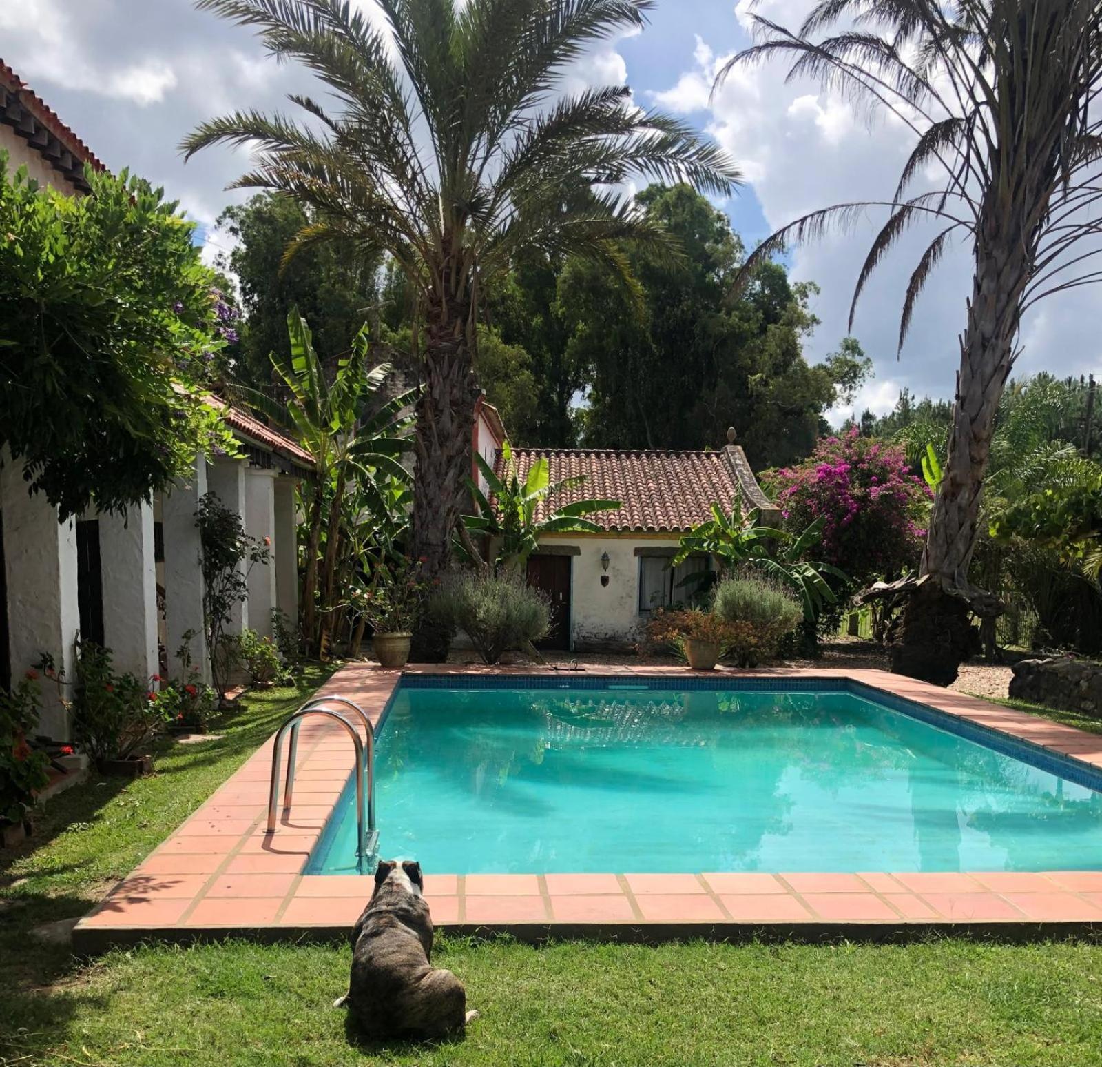 Pinos De La Quebrada Villa Quebrada de los Cuervos ภายนอก รูปภาพ