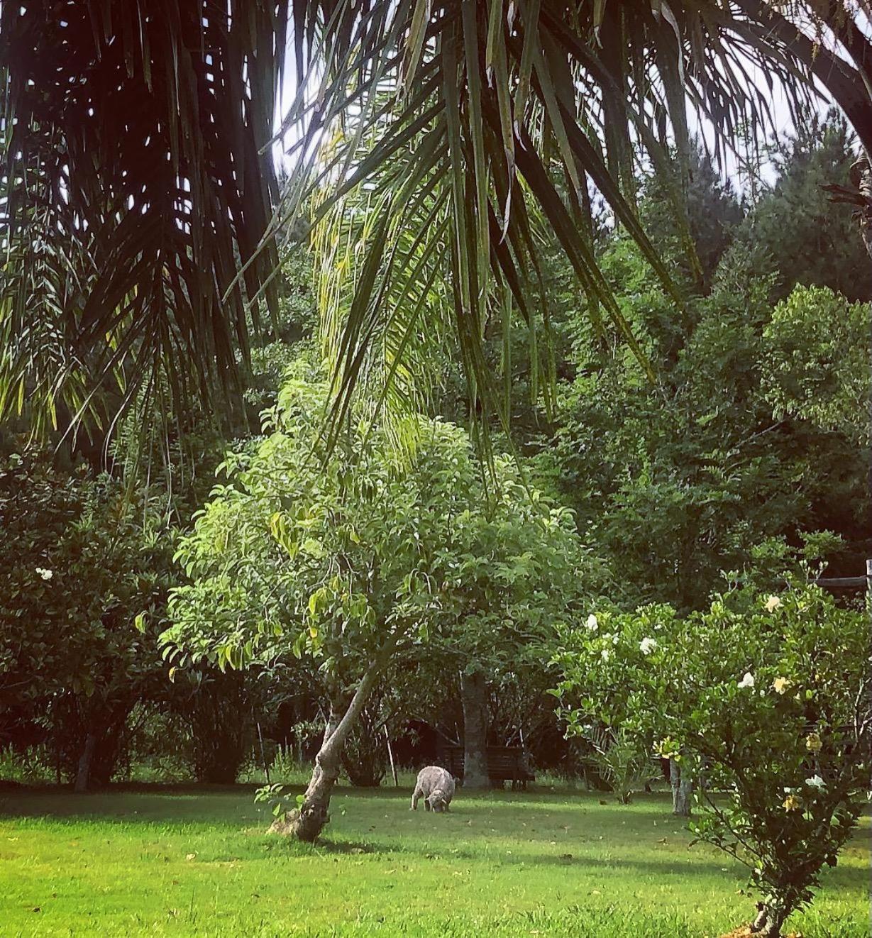 Pinos De La Quebrada Villa Quebrada de los Cuervos ภายนอก รูปภาพ