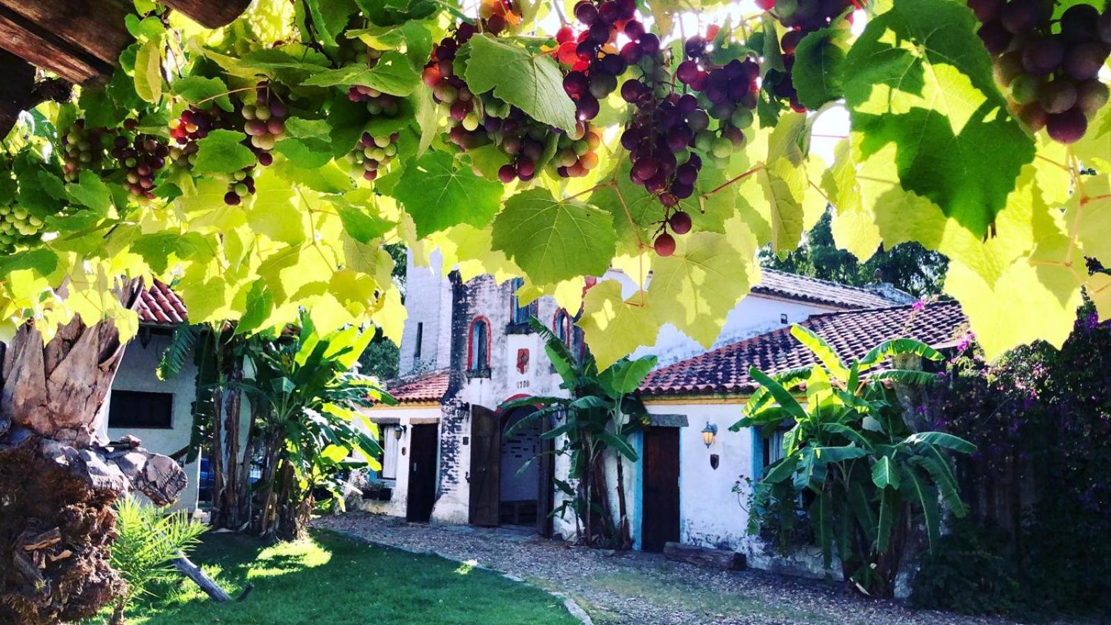 Pinos De La Quebrada Villa Quebrada de los Cuervos ภายนอก รูปภาพ