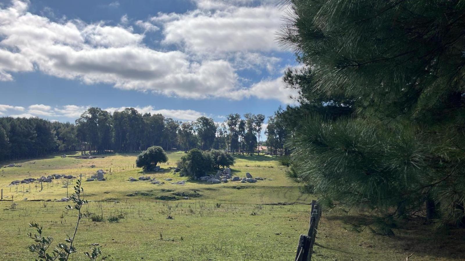 Pinos De La Quebrada Villa Quebrada de los Cuervos ภายนอก รูปภาพ