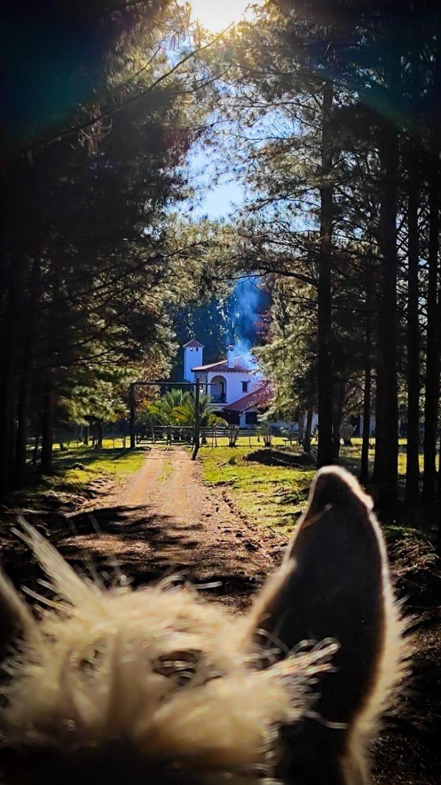 Pinos De La Quebrada Villa Quebrada de los Cuervos ภายนอก รูปภาพ