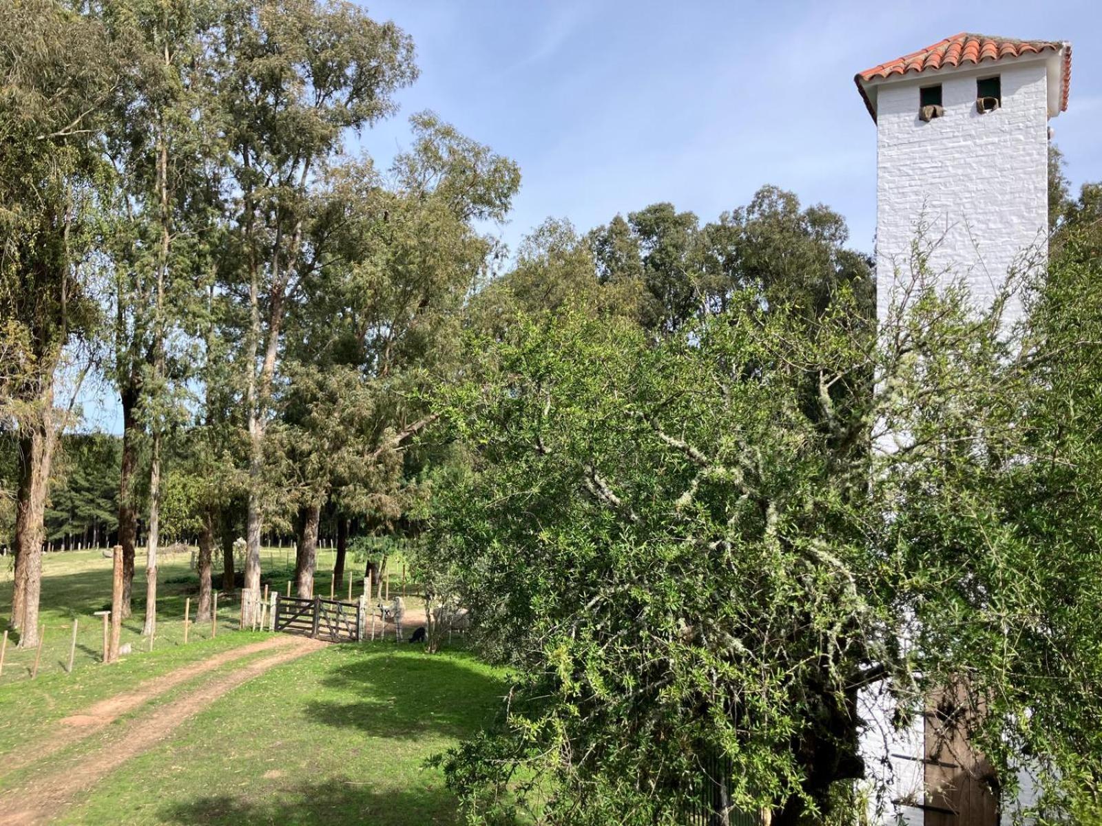 Pinos De La Quebrada Villa Quebrada de los Cuervos ภายนอก รูปภาพ