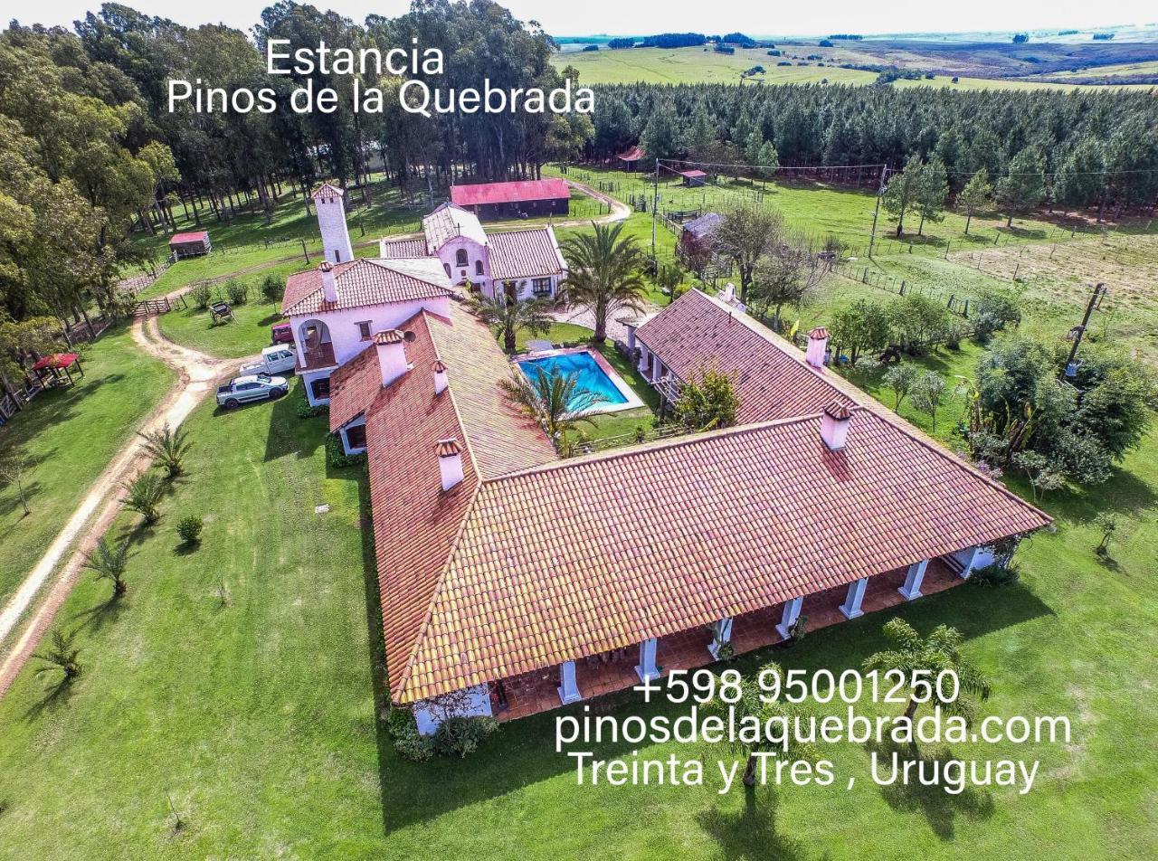 Pinos De La Quebrada Villa Quebrada de los Cuervos ภายนอก รูปภาพ